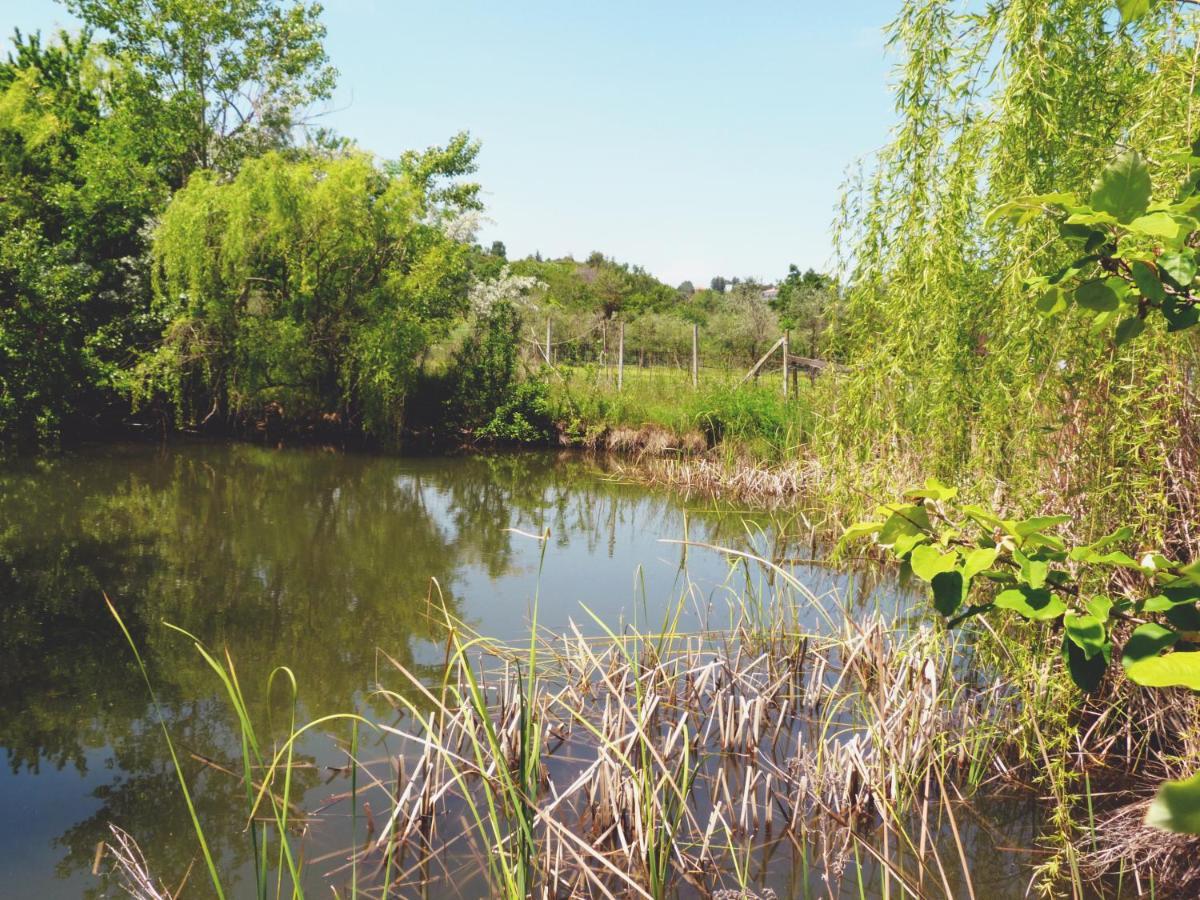 Pian del Pigro Villa Rimini Esterno foto